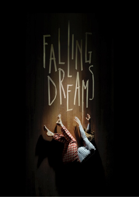 fil316_fallingdreams_beeld_v2c